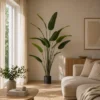 Banantre innendørs 208cm