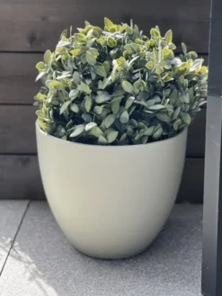 Buksbom kunstig plante 45cm grønn