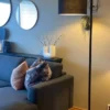 David gulvlampe 175cm sort