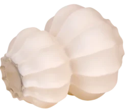 Elora vase 23,5cm