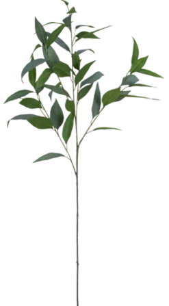 Eucalyptus 99cm