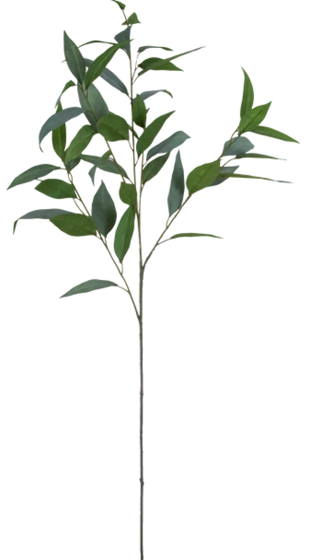 Eucalyptus 99cm