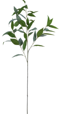 Eucalyptus 99cm