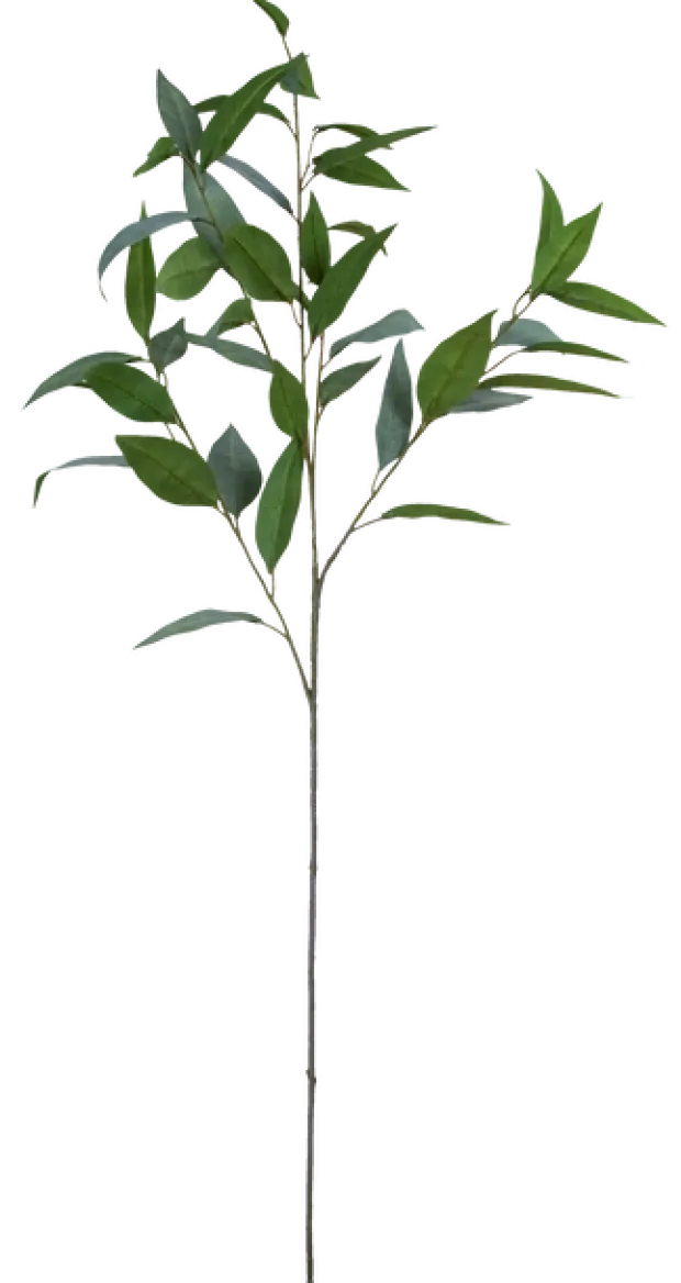 Eucalyptus 99cm