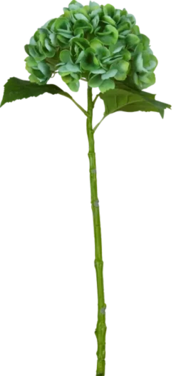 Hortensia 88cm grønn