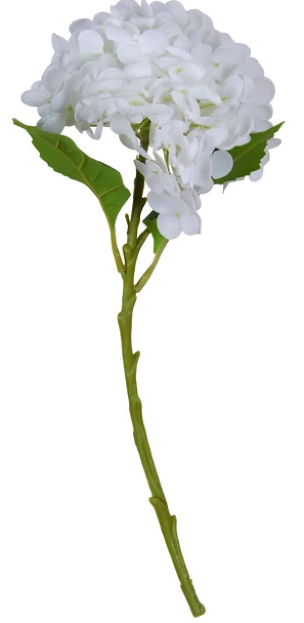 Hortensia 88cm hvit