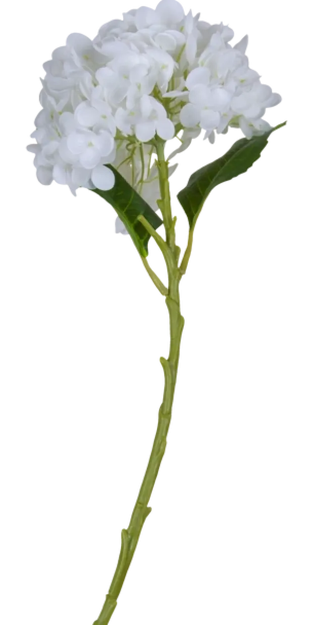Hortensia 88cm hvit