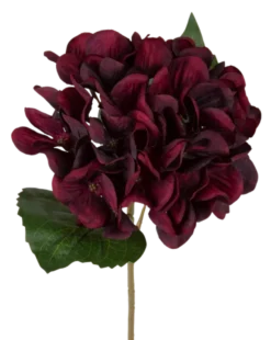 Hortensia dyp rød 43cm