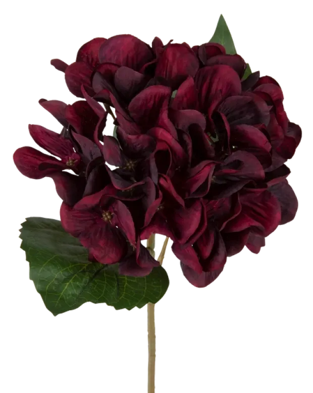 Hortensia dyp rød 43cm