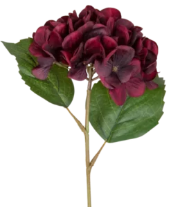 Hortensia dyp rød 43cm