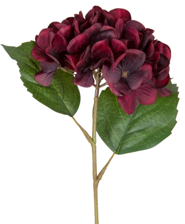 Hortensia dyp rød 43cm
