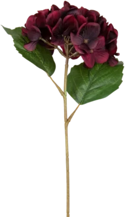Hortensia dyp rød 43cm