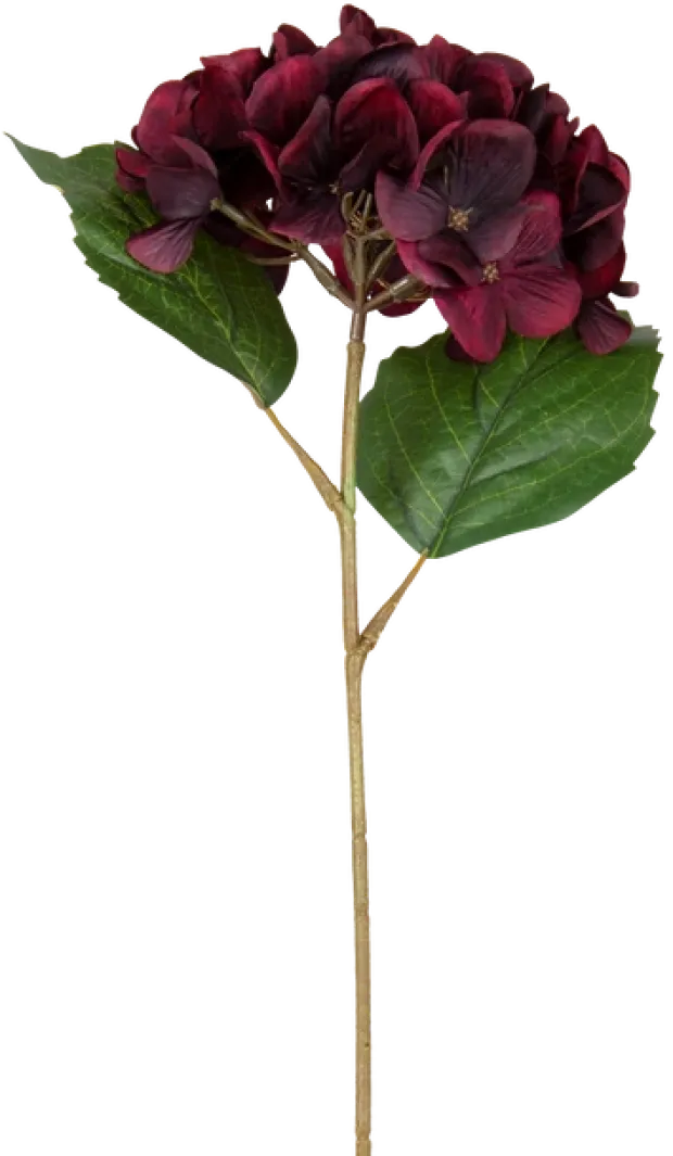 Hortensia dyp rød 43cm
