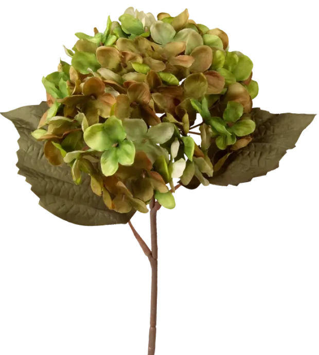 Hortensia grønn/brun 43cm