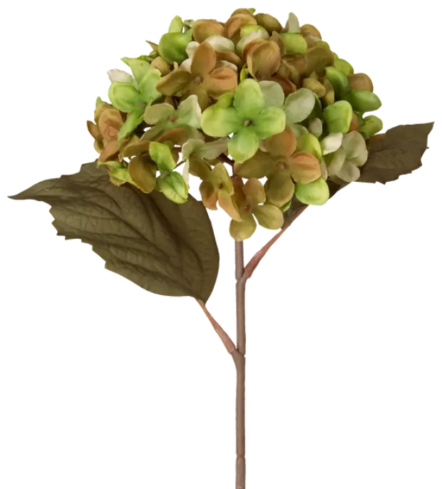 Hortensia grønn/brun 43cm