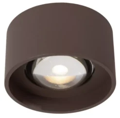 Lenz utelampe takspot 10cm brun