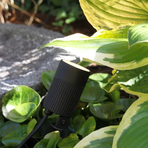 Medusa LED utelampe spot IP67 sort