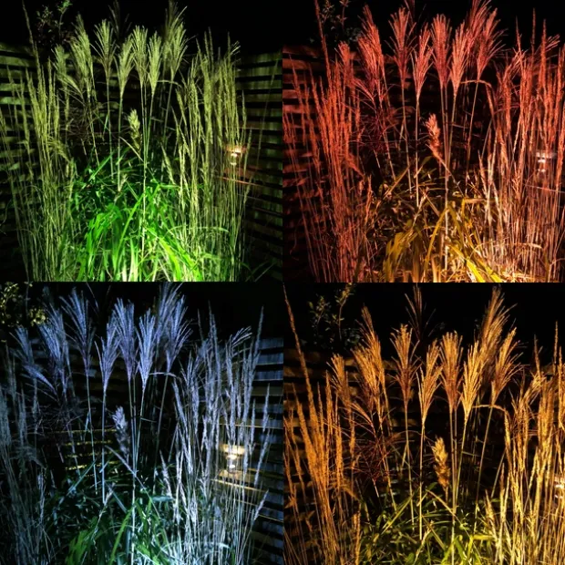 Medusa LED utelampe spot IP67 sort