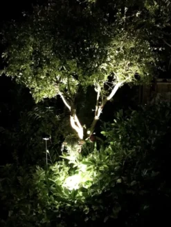 Medusa LED utelampe spot IP67 sort