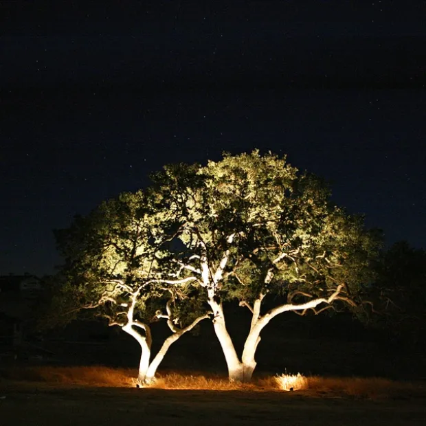 Medusa LED utelampe spot IP67 sort