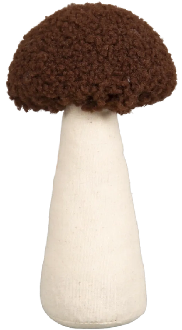 Mycel sopp 3pk. brun