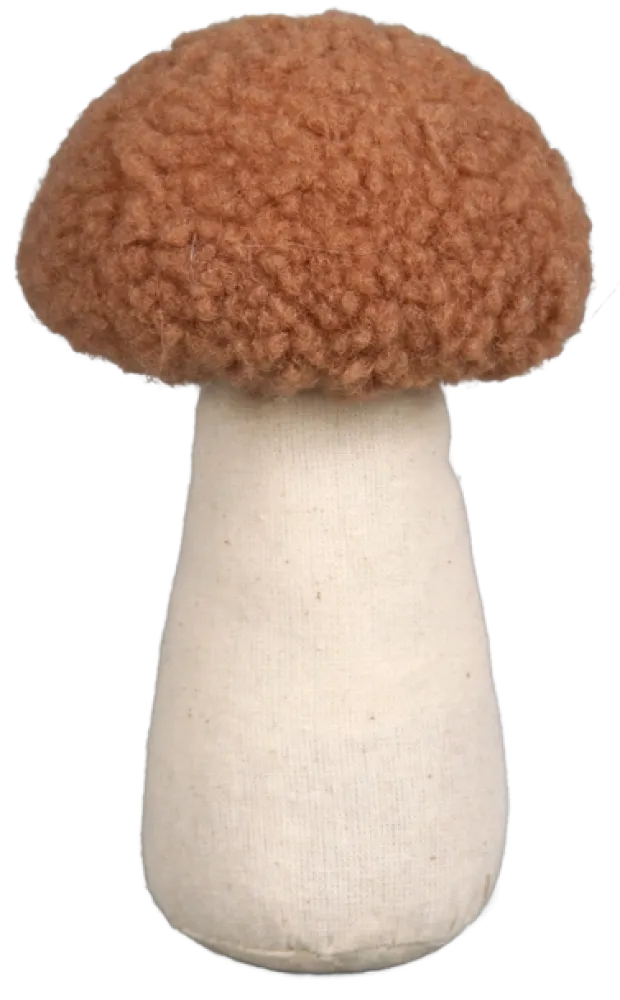 Mycel sopp 3pk. brun