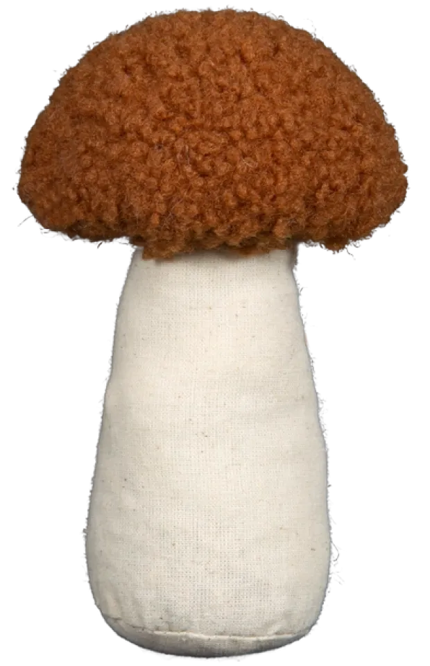 Mycel sopp 3pk. brun