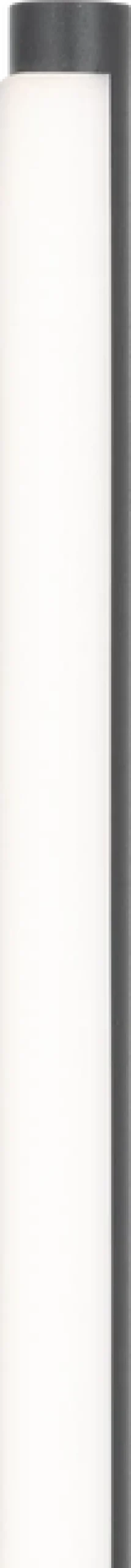 Pole LED gulvlampe 160cm sort