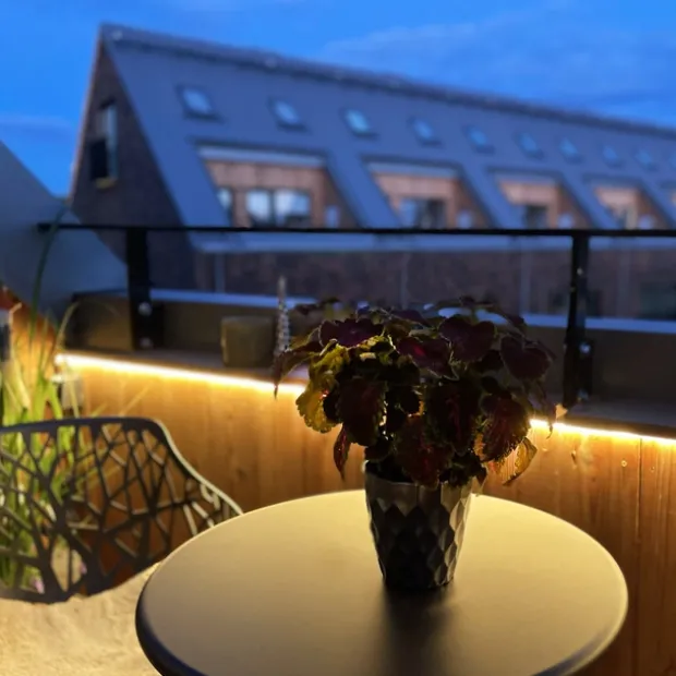 Strip LED utelampe IP65 2,5m klar