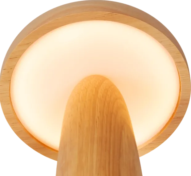 Vara LED oppladbar bordlampe 26cm natur